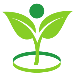 codingwithmitch logo